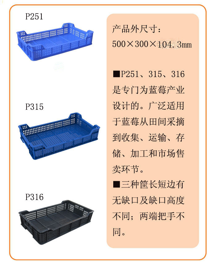 藍莓運輸筐